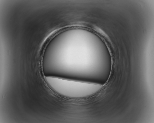X0000085321360200703091106