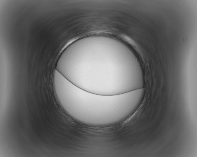 X0000085321361200703091106