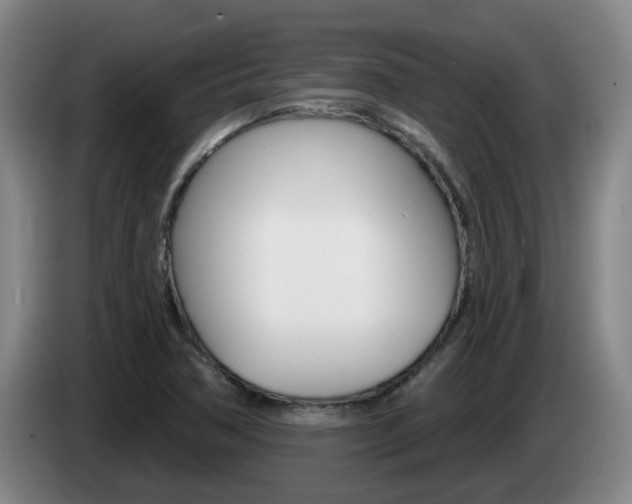 X0000085321362200703091106