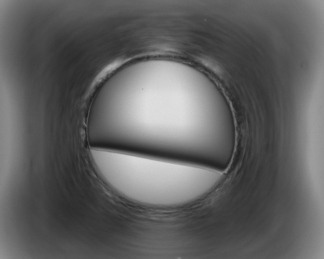 X0000085321363200703091106