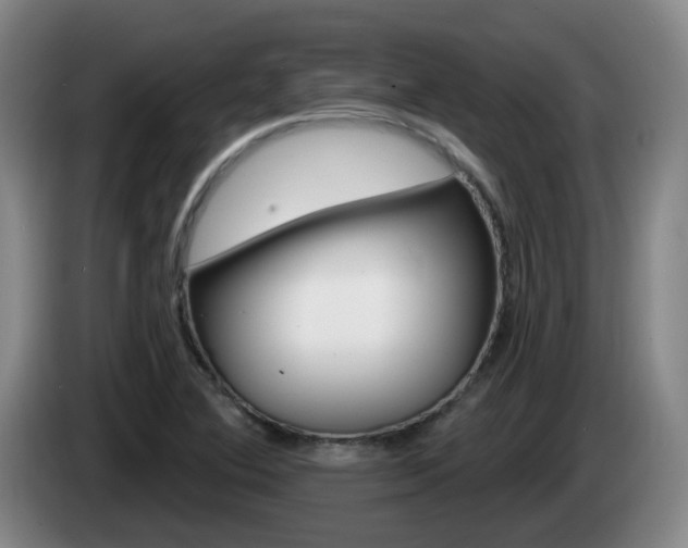 X0000085321364200703091106