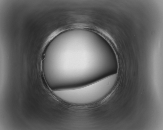 X0000085321365200703091106