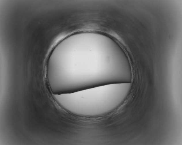 X0000085321366200703091106