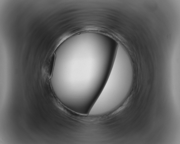X0000085321369200703091106