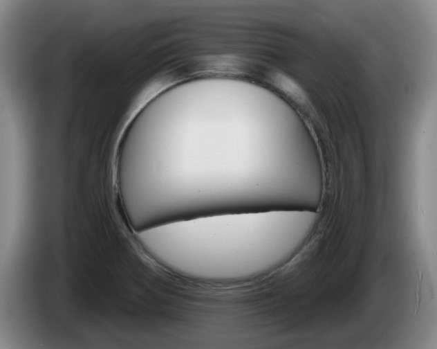 X0000085321370200703091106