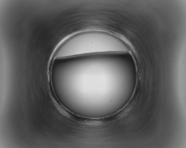 X0000085321372200703091106