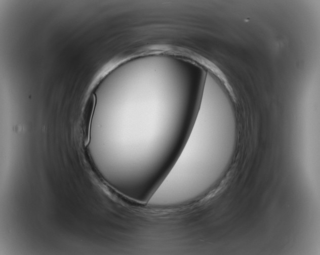 X0000085321373200703091106