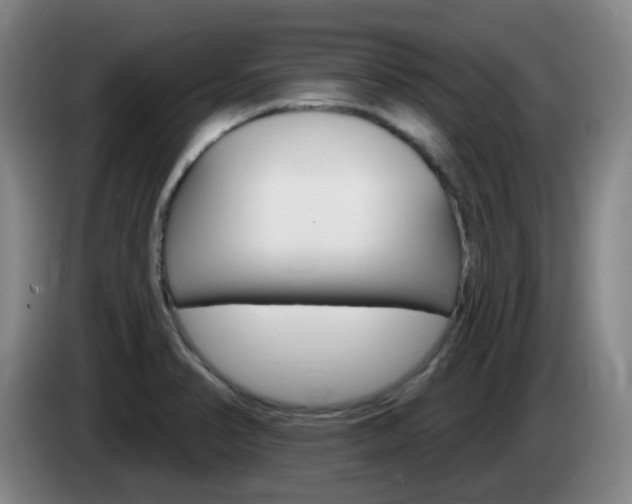 X0000085321374200703091106
