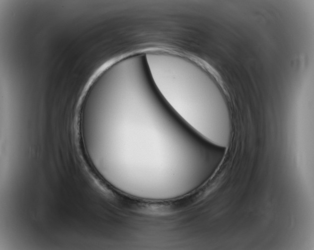 X0000085321375200703091106