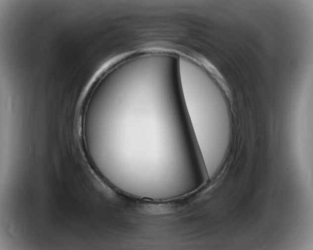 X0000085321376200703091106