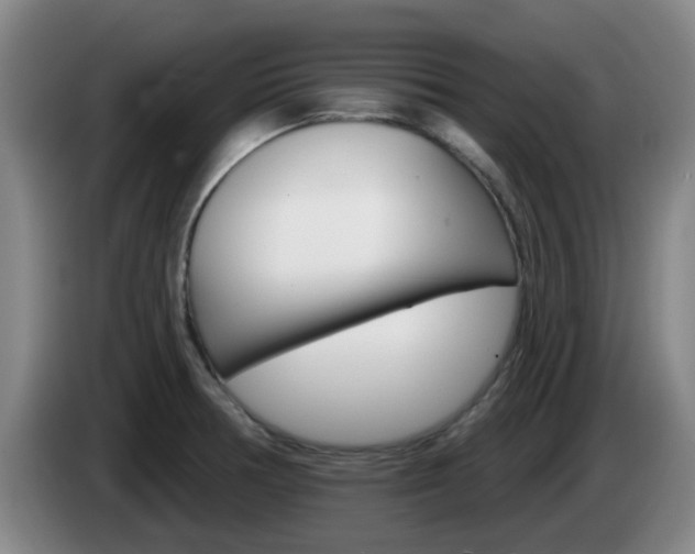 X0000085321378200703091106