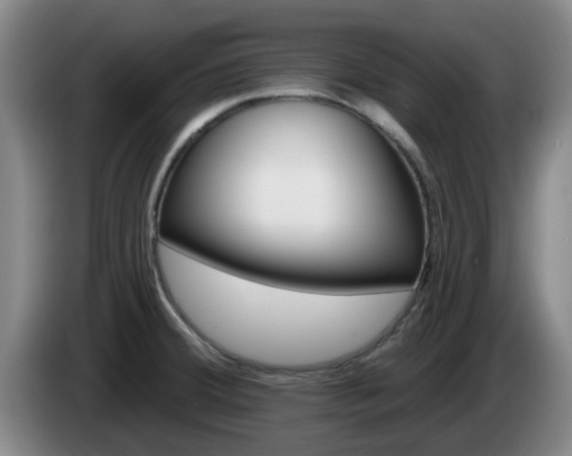 X0000085321380200703091106
