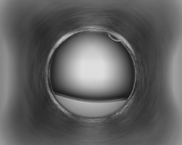X0000085321381200703091106