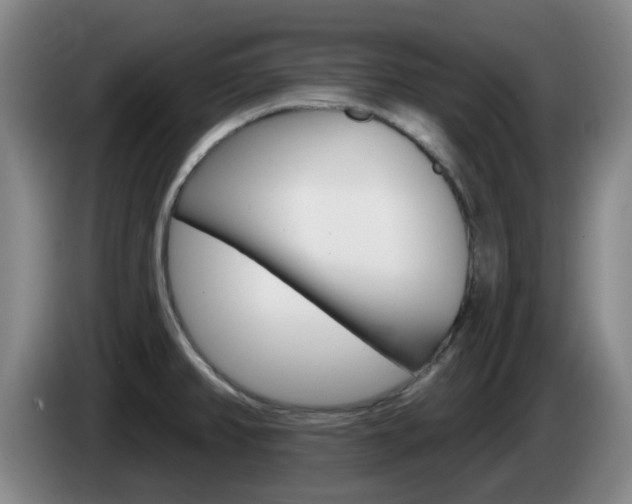 X0000085321382200703091106