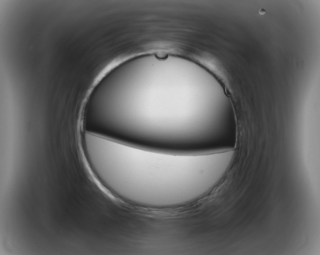 X0000085321383200703091106
