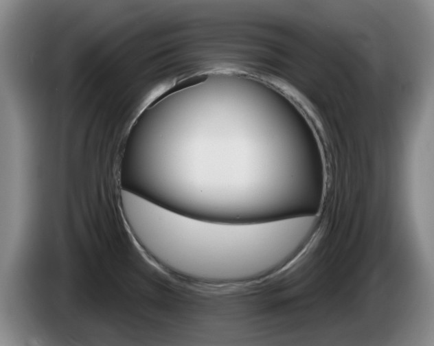 X0000085321385200703091106