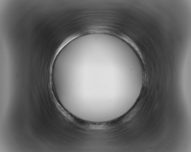 X0000085321386200703091106