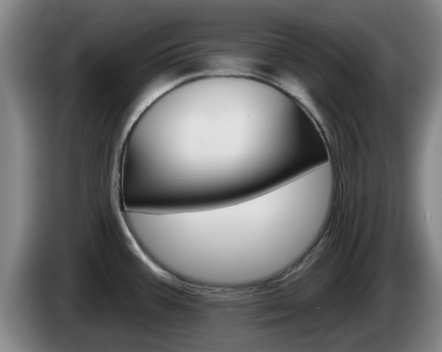 X0000085321387200703091106