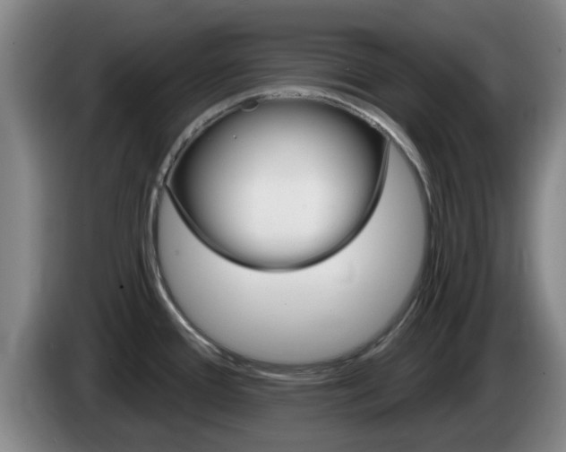 X0000085321388200703091106