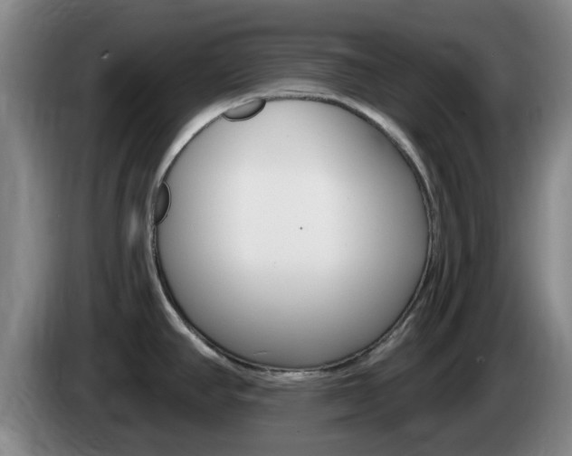 X0000085321390200703091106