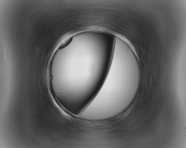 X0000085321391200703091106
