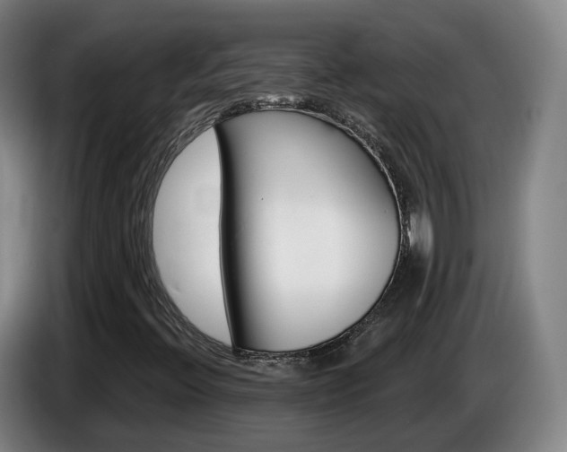 X0000085321396200703091105