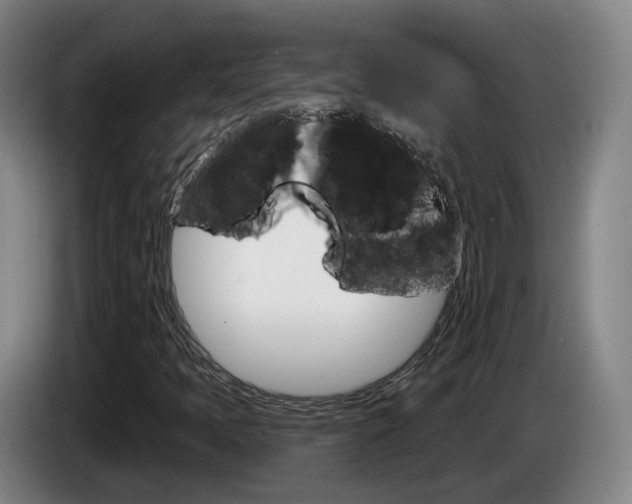 X0000085321397200703091105