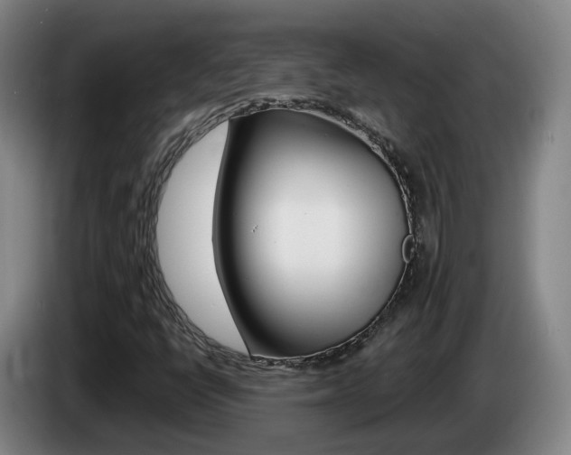 X0000085321398200703091105
