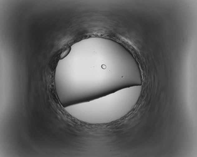 X0000085321399200703091105