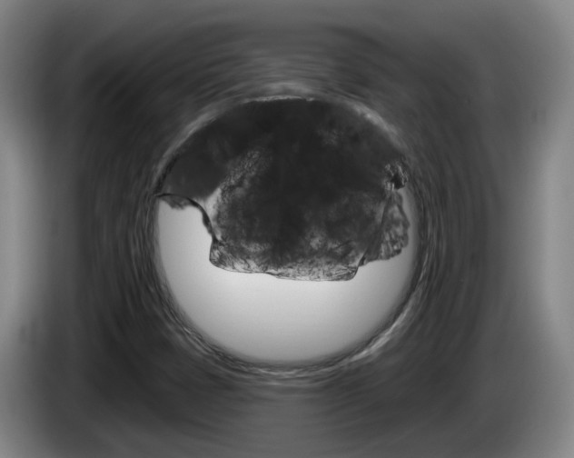 X0000085321401200703091105