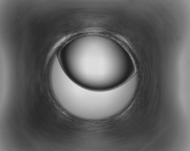 X0000085321406200703091105