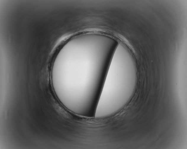 X0000085321408200703091105
