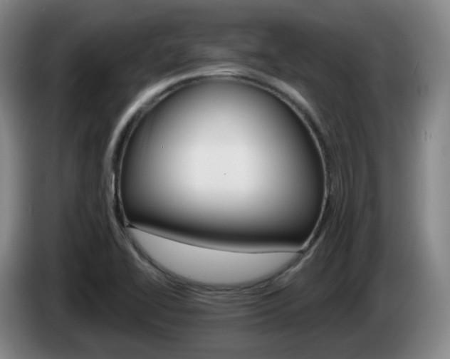X0000085321414200703091105