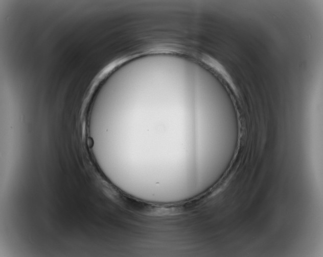 X0000085321419200703091105
