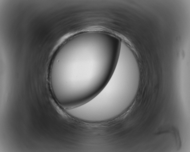 X0000085321422200703091105
