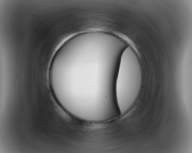X0000085321423200703091105