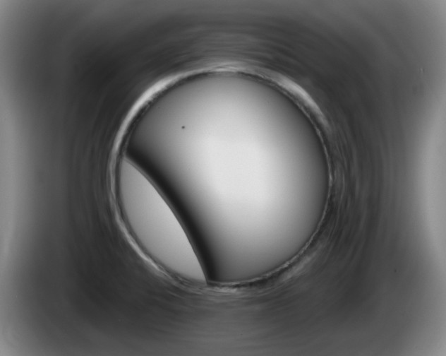 X0000085321424200703091105