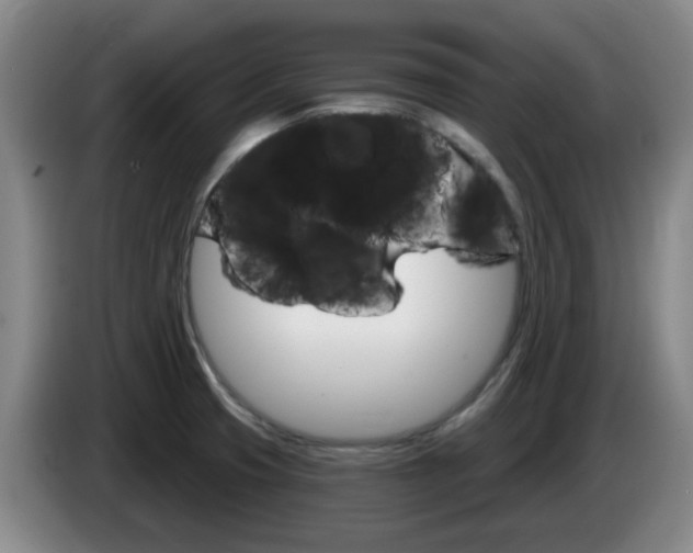 X0000085321425200703091105