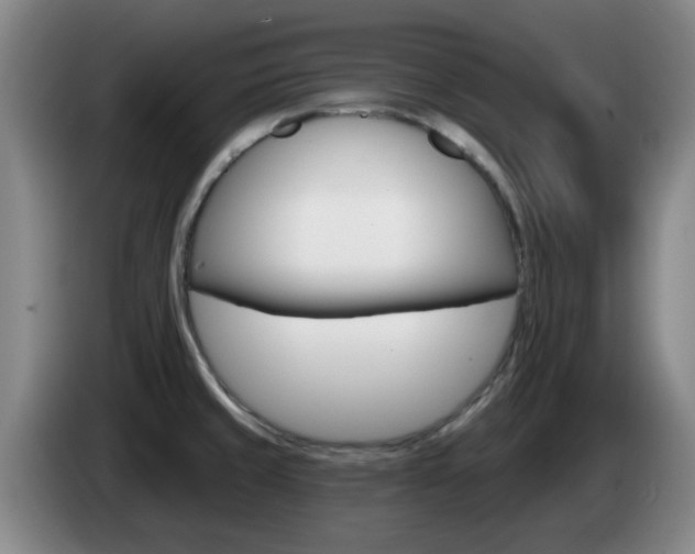 X0000085321429200703091106