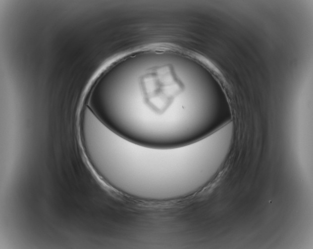 X0000085321430200703091106