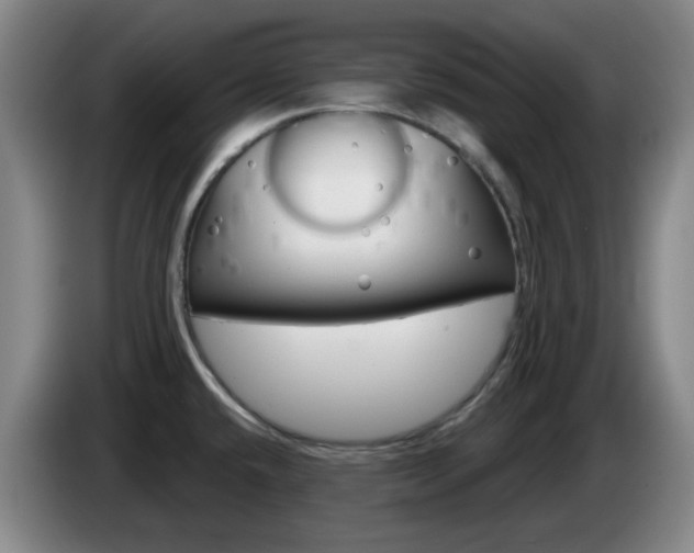 X0000085321432200703091106