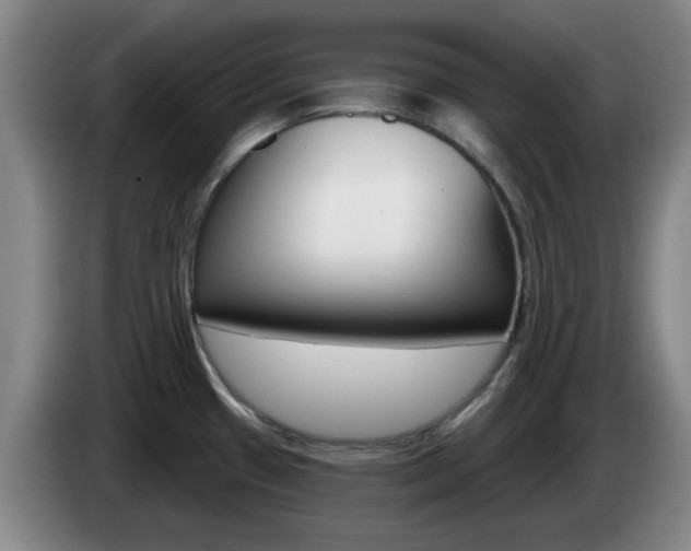 X0000085321433200703091106