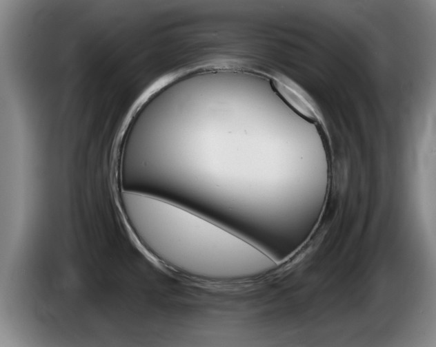 X0000085321437200703091106