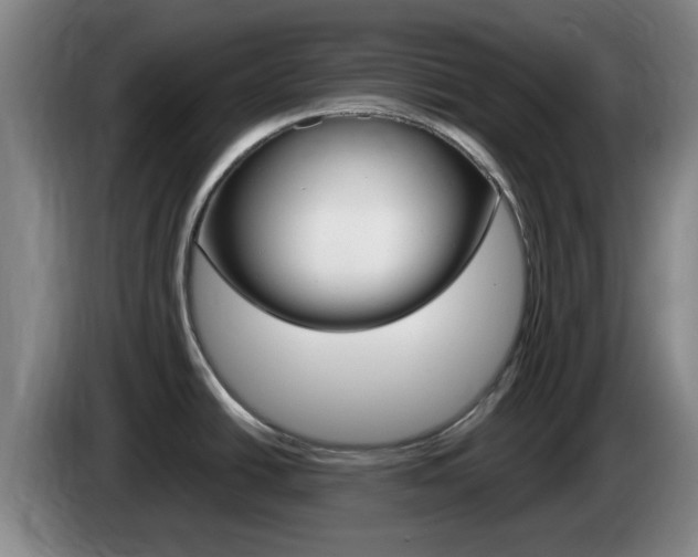X0000085321438200703091106