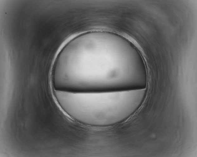 X0000085321440200703091106