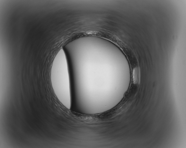 X0000085321443200703091105