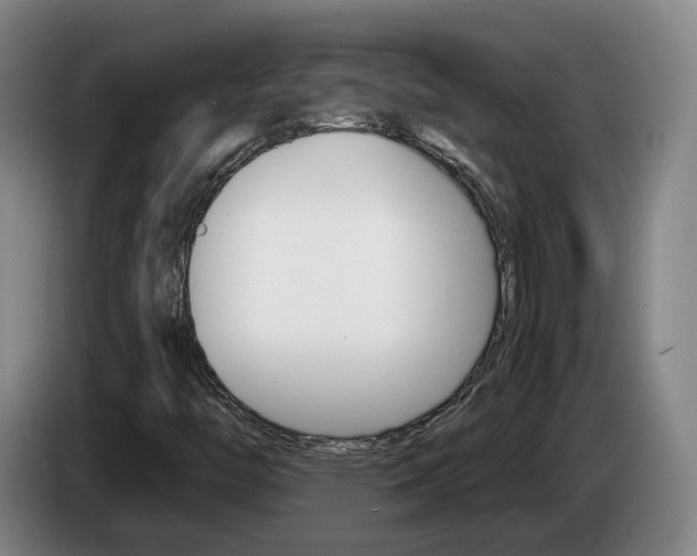 X0000085321446200703091105