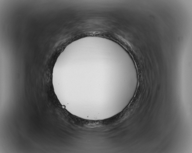 X0000085321447200703091105