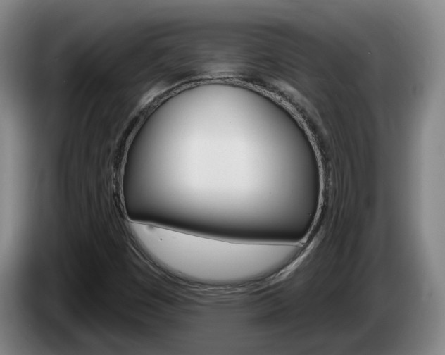 X0000085321449200703091105