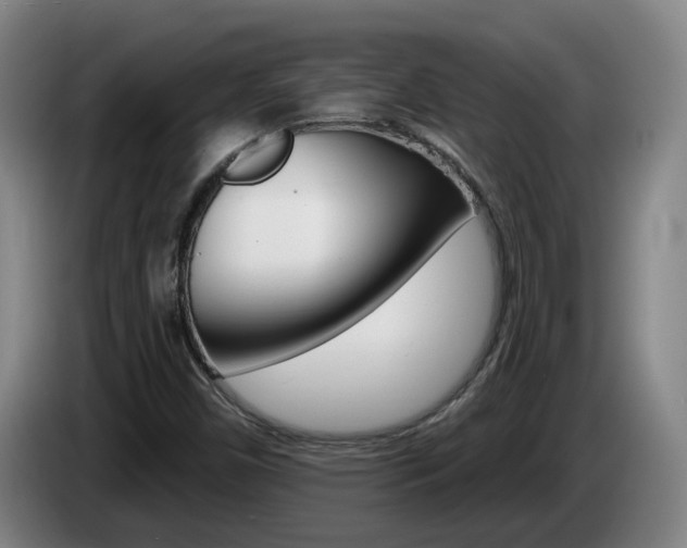 X0000085321450200703091105